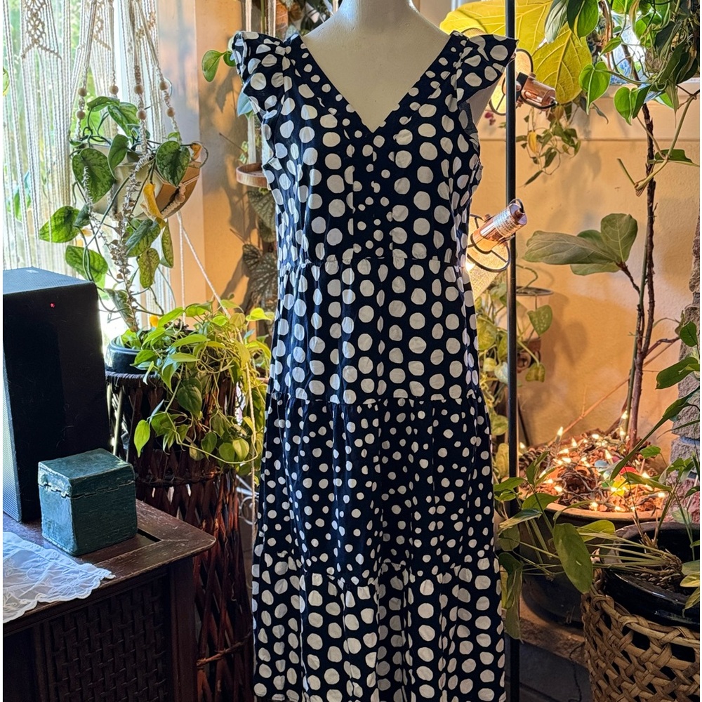 Loft polka Dot Cotton dress